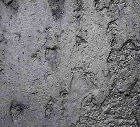 建筑砂浆/水泥检测