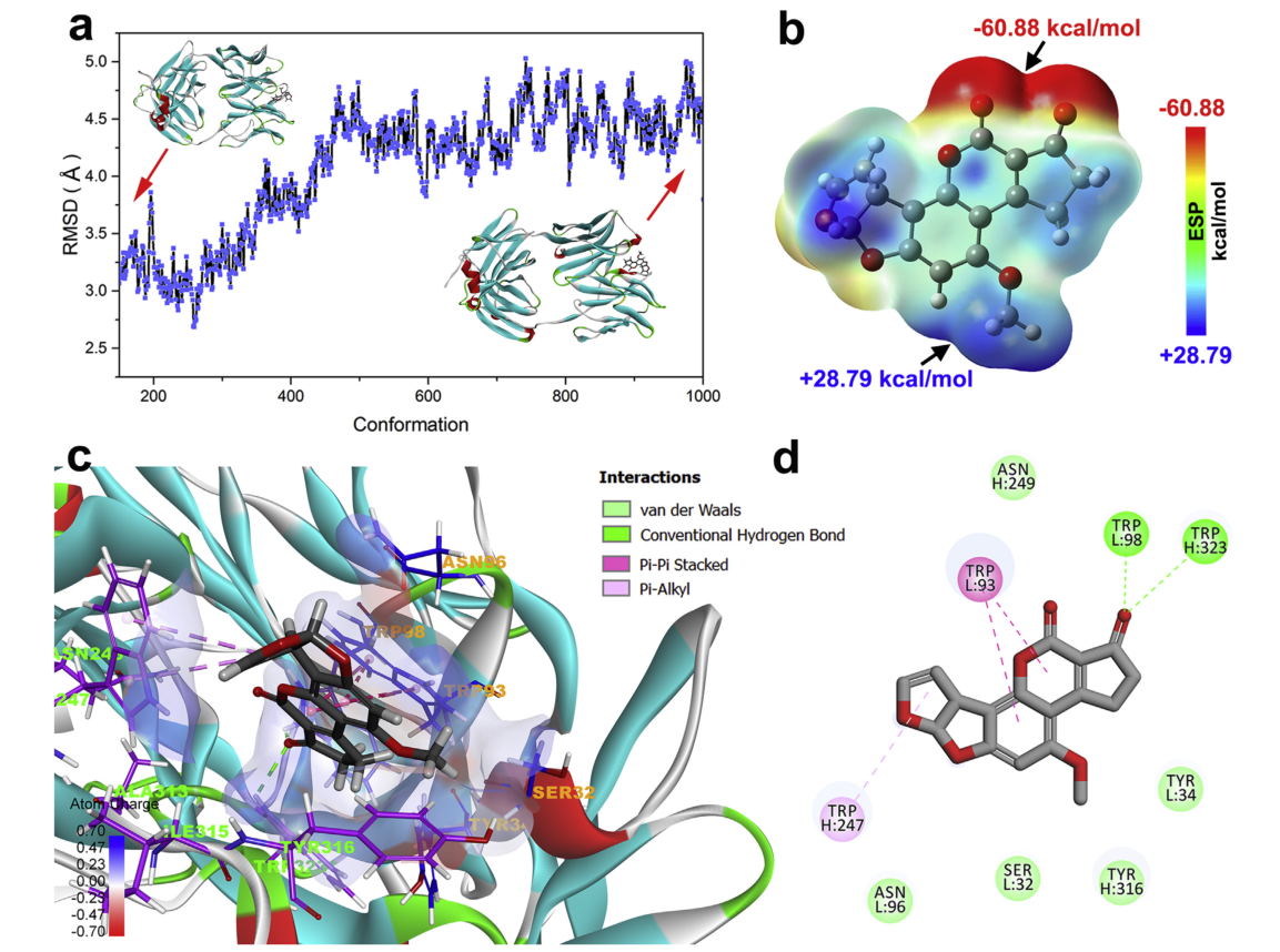 分子动力学模拟