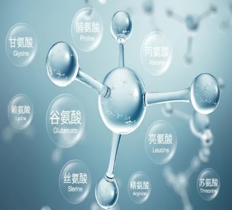 蛋白质/多肽结构解析