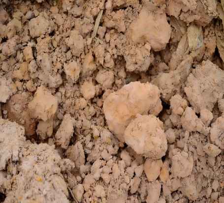 腐殖质检测分析