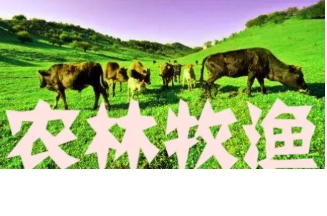 农林牧渔损失价值评估