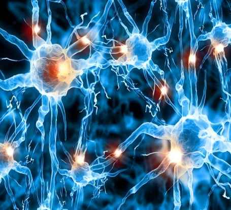 量子化学反应计算