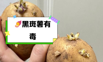 有毒物质超标对产品有什么影响? 有毒物质超标对产品有什么影响?