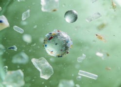 微塑料怎么采集？