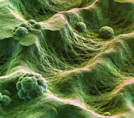 AFM能观察到哪些微观表面结构特征