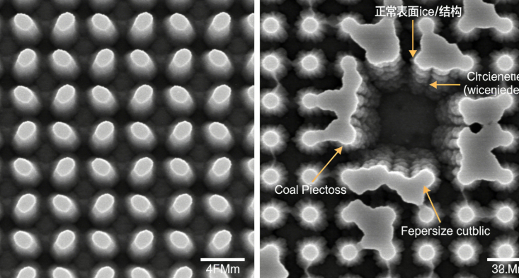 AFM 如何区分表面微结构与真实缺陷