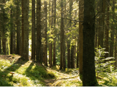 农林牧渔误工费赔偿标准