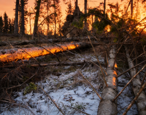 如何开展损失价值评估? 如何开展损失价值评估?
