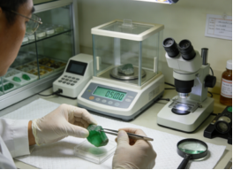 翡翠如何鉴定价值? 翡翠如何鉴定价值?