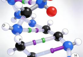 分子动力学动态模拟一般包含哪些步骤？
