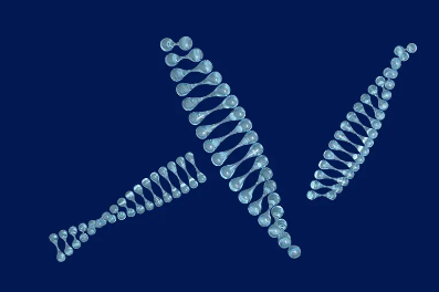 有机物结构如何解析？